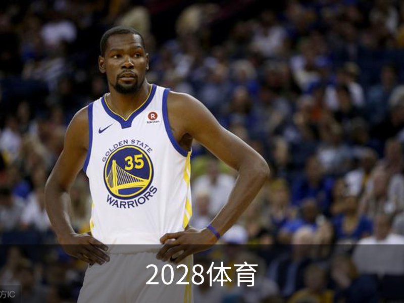 2028体育 (中国)官方网站-2028sports