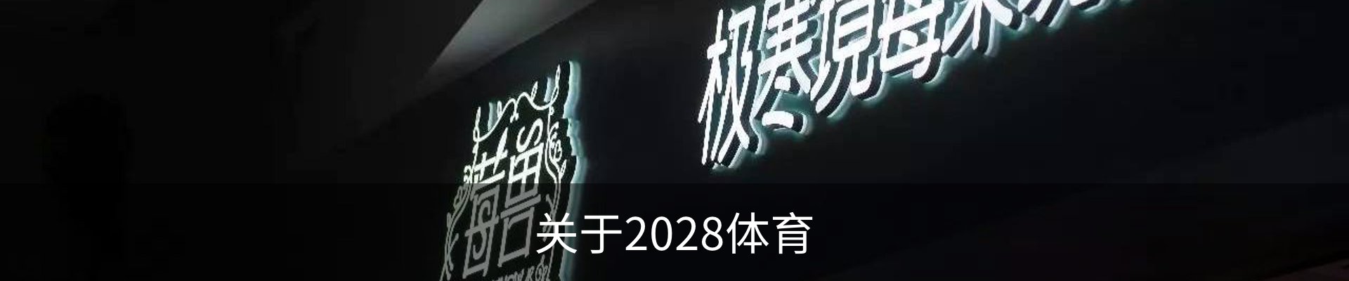 关于2028体育