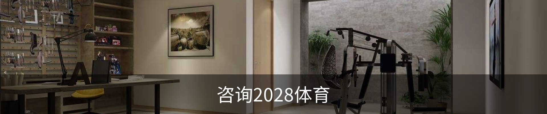 咨询2028体育